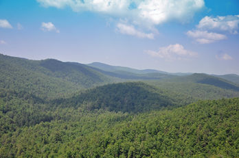 View from Lower Bald