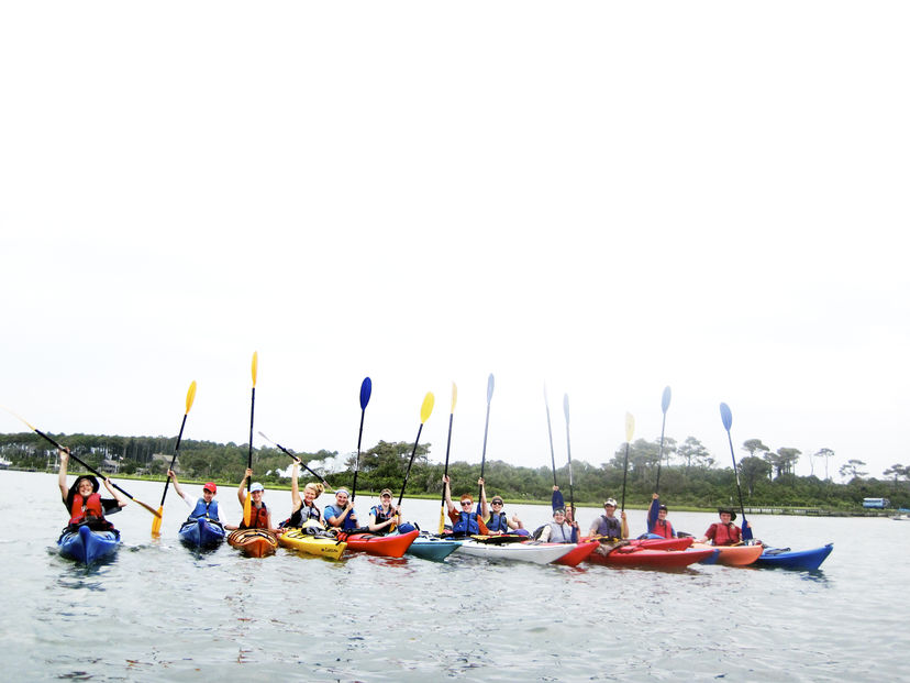 paddle 2