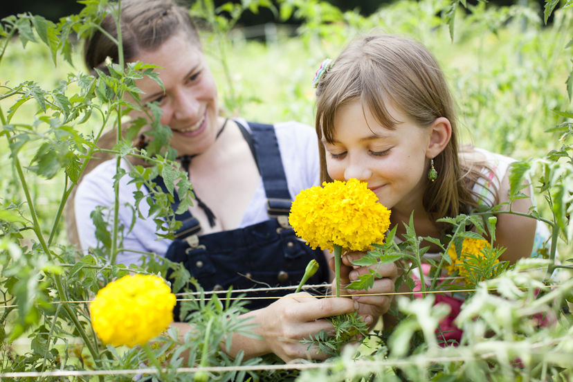 smelling flowers